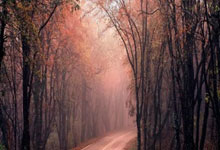 炒股配资之家网:国内正规配资平台有哪些-业绩大超预期！阿里云概念表现强劲